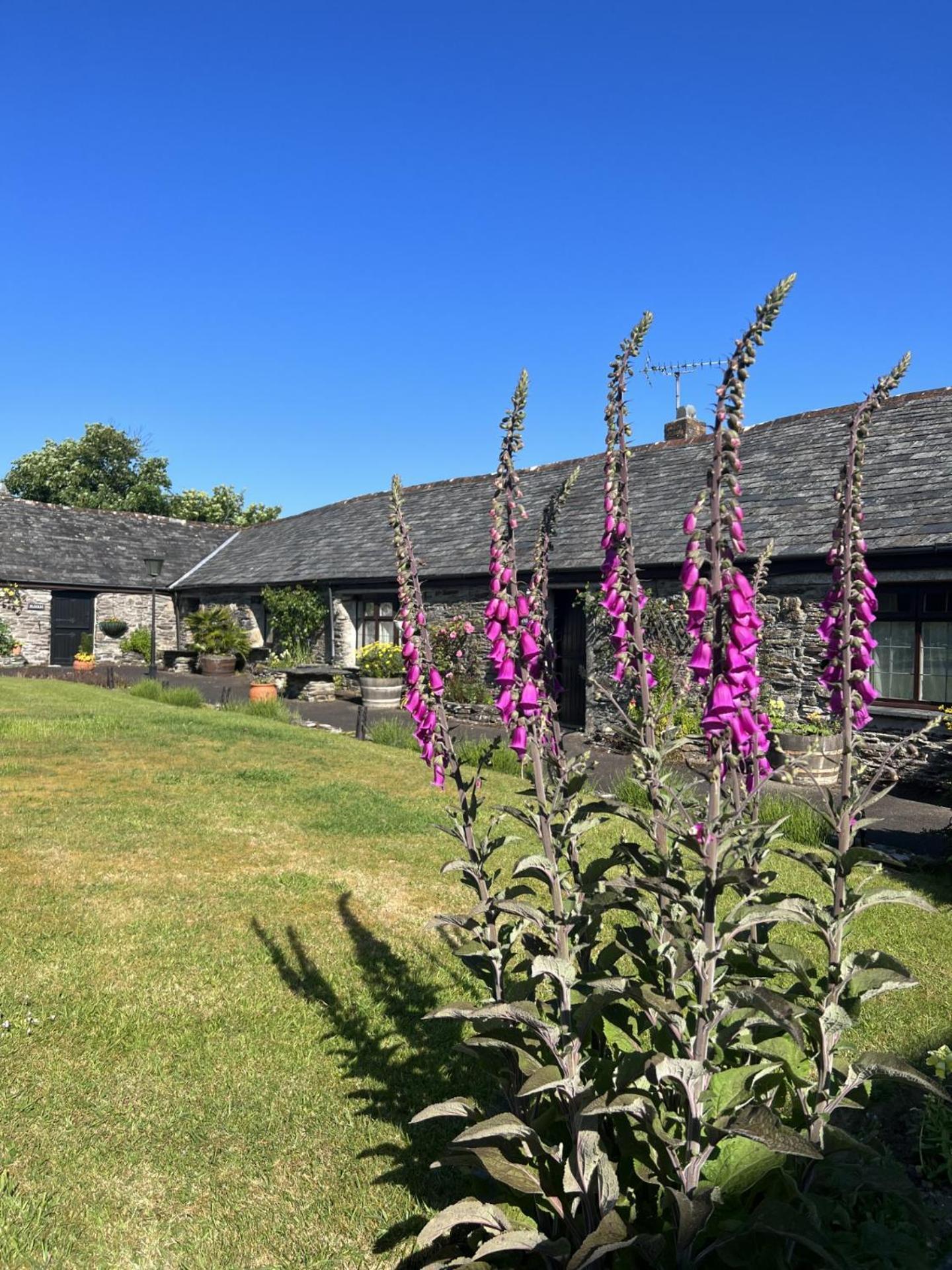 Courtyard Farm Cottages ボスキャッスル エクステリア 写真