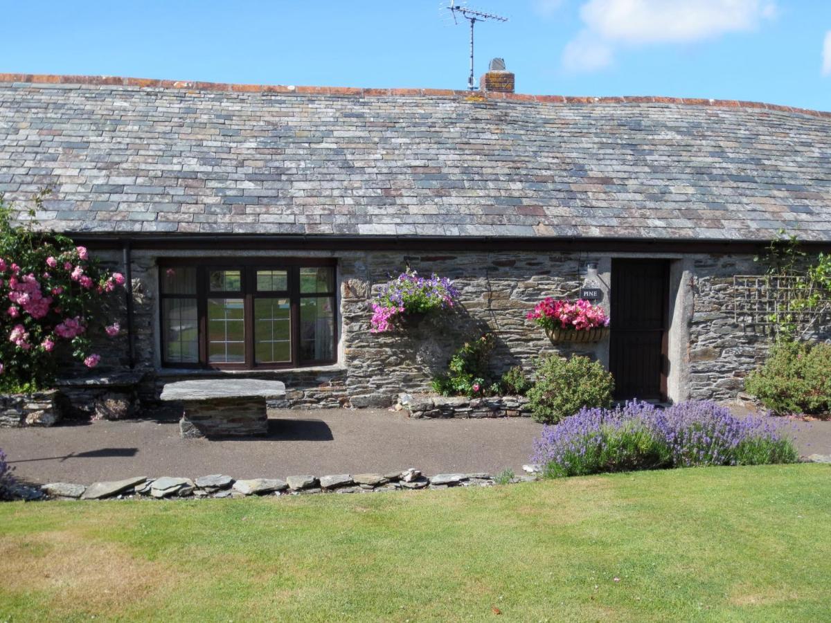 Courtyard Farm Cottages ボスキャッスル エクステリア 写真
